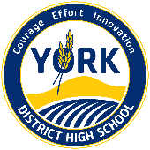 York District High School logo
