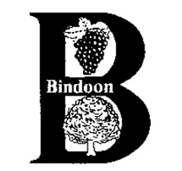 Bindoon Primary School logo